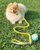 LEASH - SUNSHINE BABE