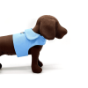 DCNY Periwinkle Harness Vest