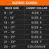 Canny Carabiners [pack of 2]