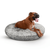 Bagel Bed XL - Frosted Snow