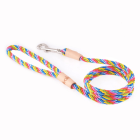 Sport Snap Lead (4 ft  x 5/16in or 8mm) (Color: Multineon, size: 4 Ft  X 5/16In Or 8Mm)