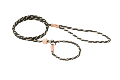 Nylon Slip Lead With Stopper (4 ft  x 1/8in or 4mm) (Color: Hunter Green / Gold, size: 4 Ft  X 1/8In Or 4Mm)