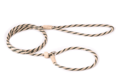 Nylon Slip Lead With Stopper (4 ft  x 1/8in or 4mm) (Color: Gold / Hunter Green, size: 4 Ft  X 1/8In Or 4Mm)
