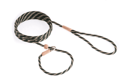 Nylon Slip Lead With Stopper (6 ft  x 1/8in or 4mm) (Color: Hunter Green / Gold, size: 6 Ft  X 1/8In Or 4Mm)