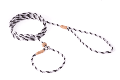 Nylon Slip Lead With Stopper (6 ft  x 1/8in or 4mm) (Color: Black - White - Gray, size: 6 Ft  X 1/8In Or 4Mm)