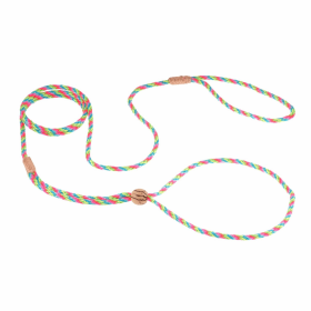 Nylon Adjustable Loop Lead (52in x 1/8in or 4mm) (Color: Multineon, size: 52In X 1/8In Or 4Mm)