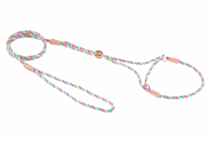 Nylon Martingale Leads (8in x 1/8in or 4mm) (Color: Multineon, size: 8In X 1/8In Or 4Mm)