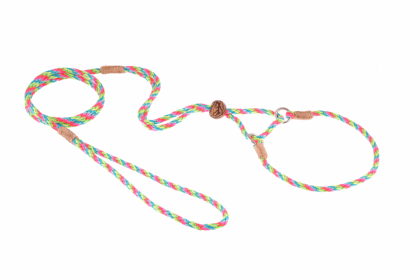 Nylon Martingale Leads (10in x 1/8in or 4mm) (Color: Multineon, size: 10In X 1/8In Or 4Mm)