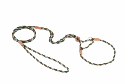 Nylon Martingale Leads (10in x 1/8in or 4mm) (Color: Green Combination, size: 10In X 1/8In Or 4Mm)