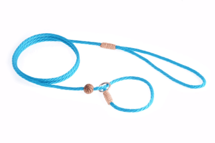 Nylon Slip Lead With Stopper (4 ft  x 1/8in or 4mm) (Color: Turquoise, size: 4 Ft  X 1/8In Or 4Mm)