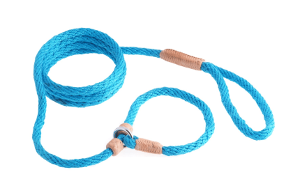 Nylon Slip Leash With 2 Stoppers (6ft  x 5/16in or 8mm) (Color: Turquoise, size: 6Ft  X 5/16In Or 8Mm)