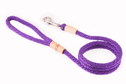 Sport Snap Lead (4 ft  x 5/16in or 8mm) (Color: Purple, size: 4 Ft  X 5/16In Or 8Mm)