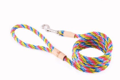 Sport Snap Lead (6 ft  x 5/16in or 8mm) (Color: Multineon, size: 6 Ft  X 5/16In Or 8Mm)