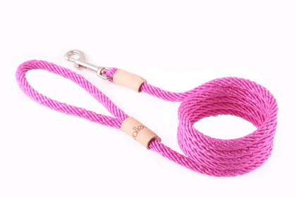 Sport Snap Lead (6 ft  x 5/16in or 8mm) (Color: HOT PINK, size: 6 Ft  X 5/16In Or 8Mm)