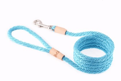 Sport Snap Lead (6 ft  x 5/16in or 8mm) (Color: Turquoise, size: 6 Ft  X 5/16In Or 8Mm)