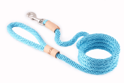 Sport Snap Lead (6 ft  x 1/2in or 13mm) (Color: Turquoise, size: 6 Ft  X 1/2In Or 13Mm)