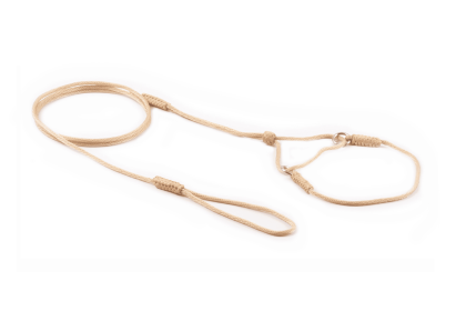 Nylon Martingale Leads (8in x 1/16 or 2 mm) (Color: Gold, size: 8In X 1/16 Or 2 Mm)