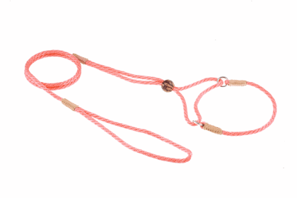 Nylon Martingale Leads (8in x 1/8in or 4mm) (Color: Peach, size: 8In X 1/8In Or 4Mm)