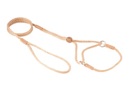 Nylon Martingale Leads (8in x 1/8in or 4mm) (Color: Gold, size: 8In X 1/8In Or 4Mm)