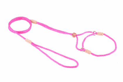 Nylon Martingale Leads (8in x 1/8in or 4mm) (Color: HOT PINK, size: 8In X 1/8In Or 4Mm)