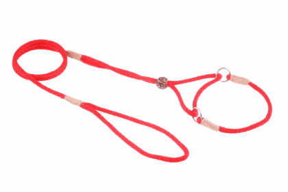 Nylon Martingale Leads (8in x 1/8in or 4mm) (Color: Red, size: 8In X 1/8In Or 4Mm)