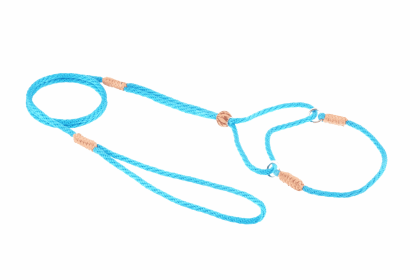 Nylon Martingale Leads (8in x 1/8in or 4mm) (Color: Turquoise, size: 8In X 1/8In Or 4Mm)