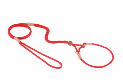 Nylon Martingale Leads (10in x 1/8in or 4mm) (Color: Red, size: 10In X 1/8In Or 4Mm)