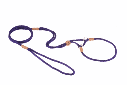 Nylon Martingale Leads (10in x 1/8in or 4mm) (Color: Purple, size: 10In X 1/8In Or 4Mm)