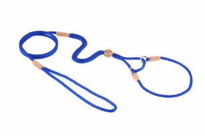 Nylon Martingale Leads (10in x 1/8in or 4mm) (Color: Deep Blue, size: 10In X 1/8In Or 4Mm)