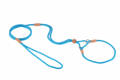 Nylon Martingale Leads (10in x 1/8in or 4mm) (Color: Turquoise, size: 10In X 1/8In Or 4Mm)