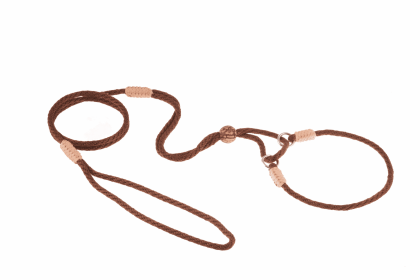 Nylon Martingale Leads (10in x 1/8in or 4mm) (Color: Brown, size: 10In X 1/8In Or 4Mm)