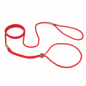 Nylon Adjustable Loop Lead (52in x 1/8in or 4mm) (Color: Red, size: 52In X 1/8In Or 4Mm)