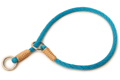 Nylon Slip Collars (10 in x 1/8in or 4mm) (Color: Turquoise, size: 10 In X 1/8In Or 4Mm)