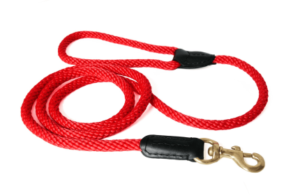 Rope and Leather Snap Lead (4ft x 3/4 in) (Color: Red  Line, size: 4Ft X 3/4 In)