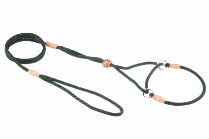 Nylon Martingale Leads (8in x 1/8in or 4mm) (Color: Hunter Green, size: 8In X 1/8In Or 4Mm)