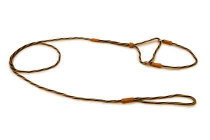Nylon Martingale Leads (8in x 1/16 or 2 mm) (Color: Gold / Hunter Green, size: 8In X 1/16 Or 2 Mm)
