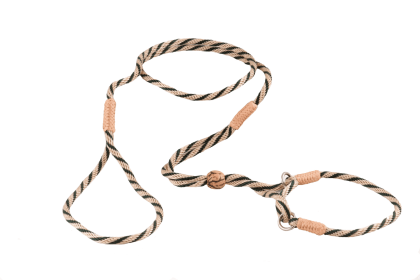 Nylon Martingale Leads (8in x 1/8in or 4mm) (Color: Gold / Hunter Green, size: 8In X 1/8In Or 4Mm)
