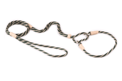 Nylon Martingale Leads (10in x 1/8in or 4mm) (Color: Hunter Green / Gold, size: 10In X 1/8In Or 4Mm)