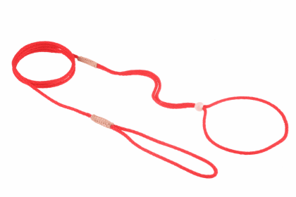 Nylon Adjustable Loop Lead (52in x 1/16 or 2 mm) (Color: Red, size: 52In X 1/16 Or 2 Mm)