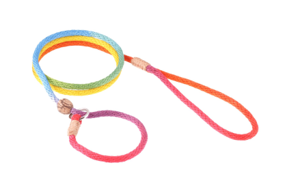 Nylon Slip Lead With Stopper (6 ft  x 1/8in or 4mm) (Color: Rainbow Multicolor, size: 6 Ft  X 1/8In Or 4Mm)