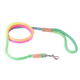 Nylon Snap Leads (6 ft  x 1/8in or 4mm) (Color: Multicolor, size: 6 Ft  X 1/8In Or 4Mm)