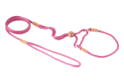 Nylon Martingale Leads (10in x 1/8in or 4mm) (Color: Wild Rose, size: 10In X 1/8In Or 4Mm)