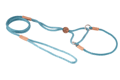 Nylon Martingale Leads (10in x 1/8in or 4mm) (Color: Teal Green, size: 10In X 1/8In Or 4Mm)