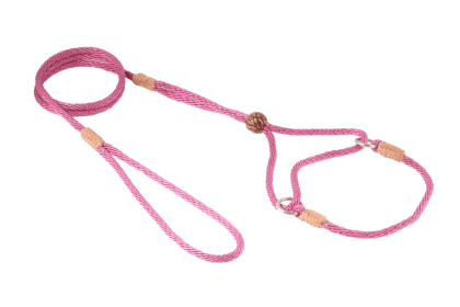 Nylon Martingale Leads (8in x 1/8in or 4mm) (Color: Wild Rose, size: 8In X 1/8In Or 4Mm)