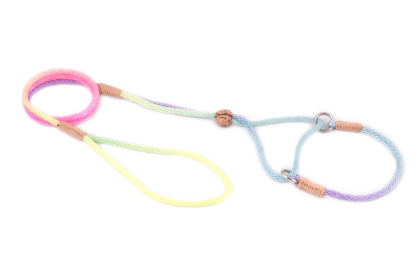 Nylon Martingale Leads (8in x 1/8in or 4mm) (Color: Multicolor, size: 8In X 1/8In Or 4Mm)
