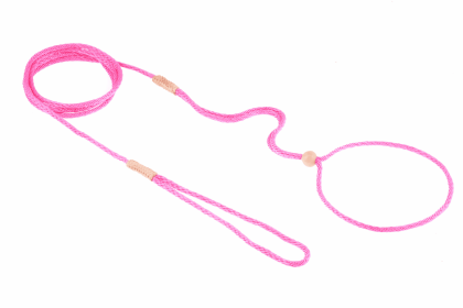 Nylon Adjustable Loop Lead (52in x 1/16 or 2 mm) (Color: HOT PINK, size: 52In X 1/16 Or 2 Mm)