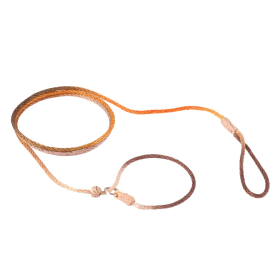 Nylon Adjustable Loop Lead (52in x 1/8in or 4mm) (Color: Fall Multicolor, size: 52In X 1/8In Or 4Mm)