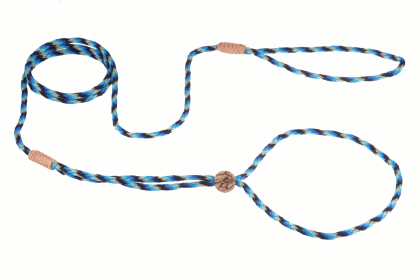 Nylon Adjustable Loop Lead (52in x 1/8in or 4mm) (Color: Blue Multicolor, size: 52In X 1/8In Or 4Mm)