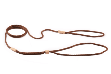 Nylon Adjustable Loop Lead (52in x 1/8in or 4mm) (Color: Brown Multicolor, size: 52In X 1/8In Or 4Mm)
