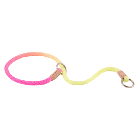 Nylon Slip Collars (12 in x 1/8in or 4mm) (Color: Multicolor, size: 12 In X 1/8In Or 4Mm)